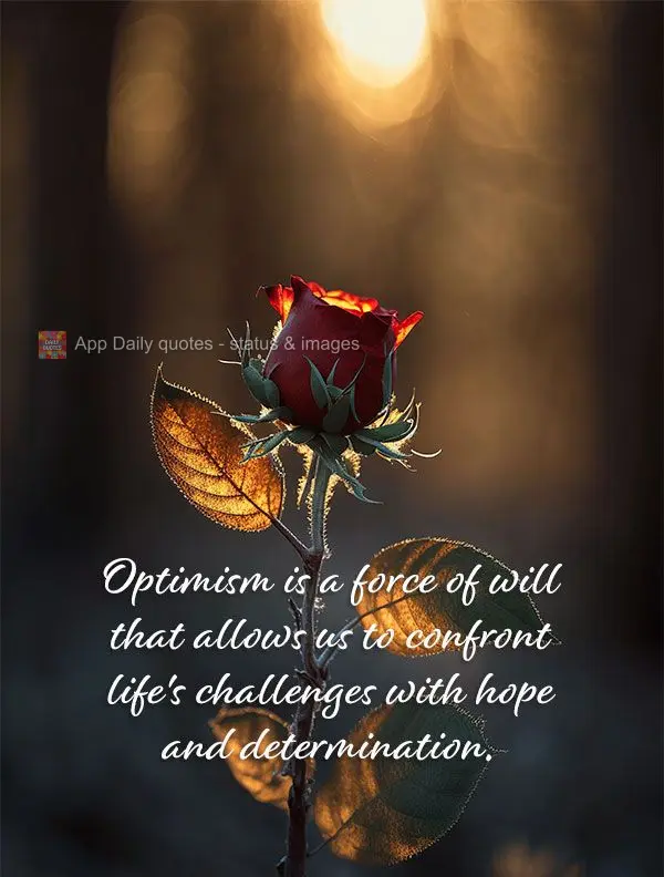 Optimism is the force of will that allows us to confront life's challenges with hope and determination.