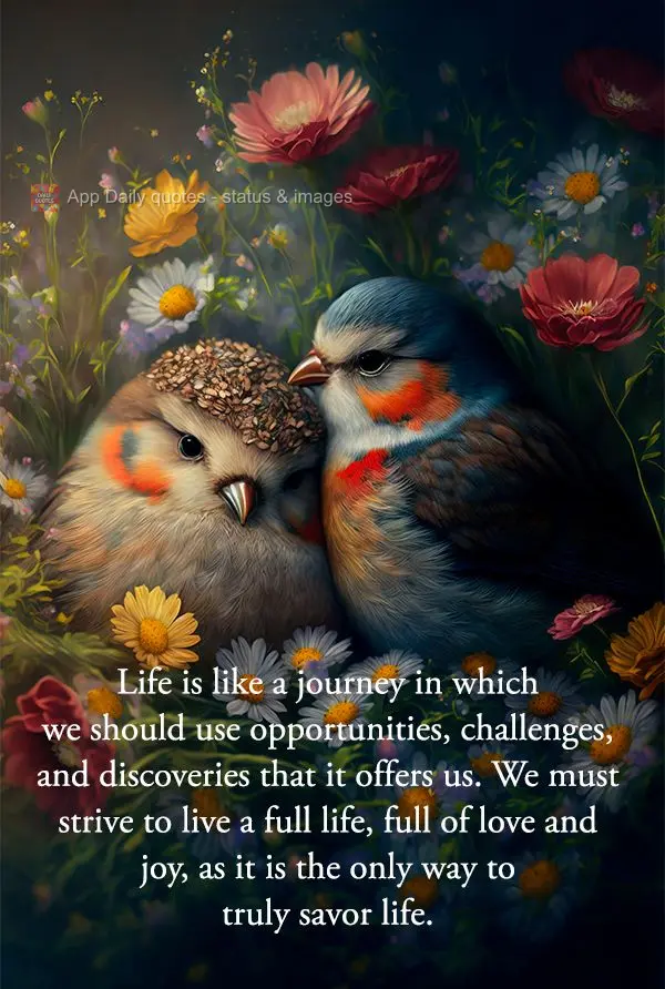 Life is like a journey in which we should use opportunities, challenges, and discoveries that it offers us. We must strive to live a full life, full of l...