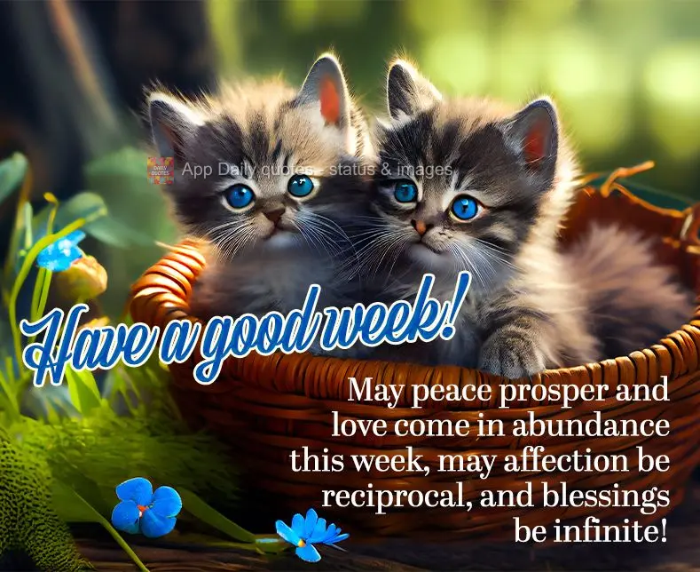 May peace prosper and love come in abundance this week. May affection be reciprocal, and blessings be infinite! Have a good week!