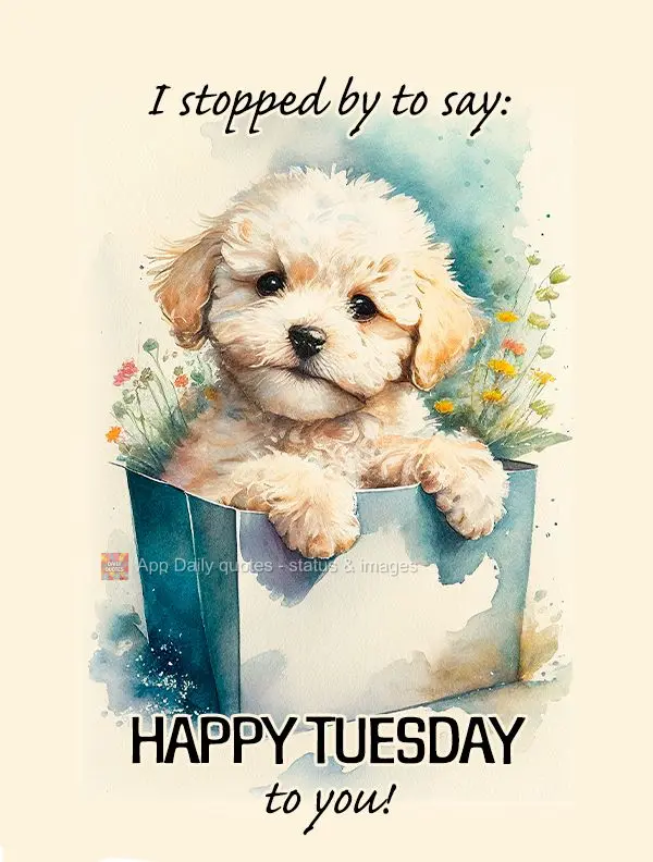 Passei aqui pra dizer: Feliz Terça-feira para você!