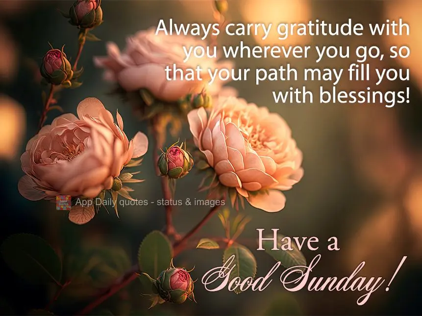 Always carry gratitude with you wherever you go, so that your path may fill you with blessings! Have a Good Sunday!