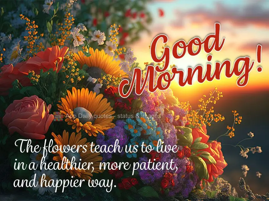 Flowers teach us to live in a healthier, more patient, and happier way. Good morning!