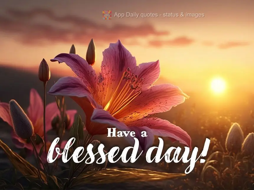 Tenha um dia abençoado!