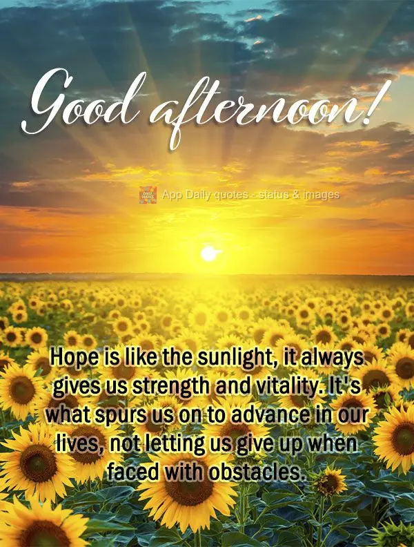 A esperança é como a luz do sol, ela sempre nos dá força e vitalidade. É o que nos impulsiona a avançar em nossas vidas, não nos deixando desanima...