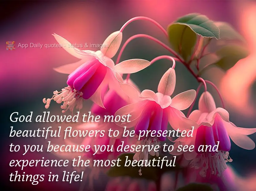 God allowed the most beautiful flowers to be presented to you because you deserve to see and experience the most beautiful things in life!