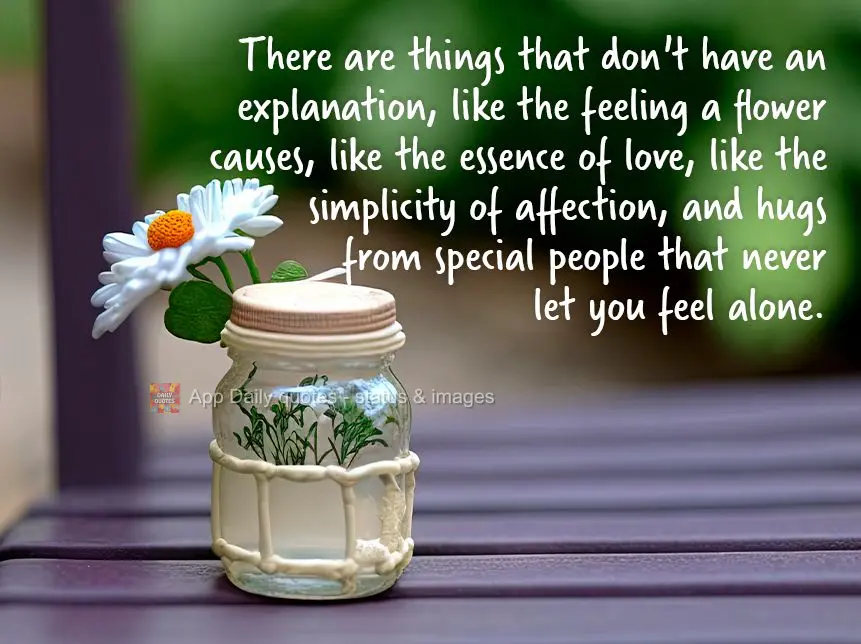 There are things that don't have an explanation, like the feeling a flower causes, like the essence of love, like the simplicity of affection, and hugs f...