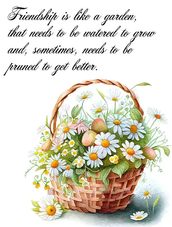 A amizade é como um jardim, que precisa ser regado para crescer e, às vezes, precisa ser podado para melhorar.