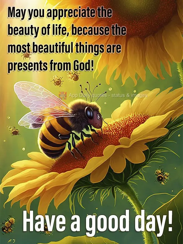Que você possa apreciar beleza da vida, porque as coisas mais bonitas são presentes de Deus! Feliz dia!