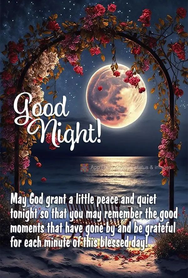 Que Deus conceda para esta noite um pouco de paz e sossego, que você possa lembrar dos bons momentos que passou e ser grato por cada minuto deste dia ab...