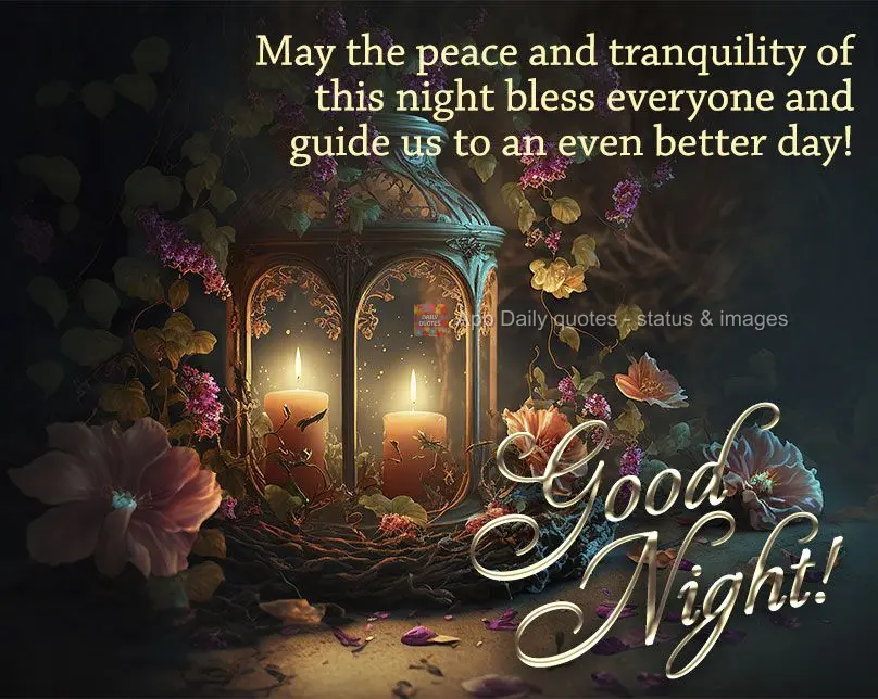 May the peace and tranquility of this night bless everyone and guide us to an even better day! Good night!