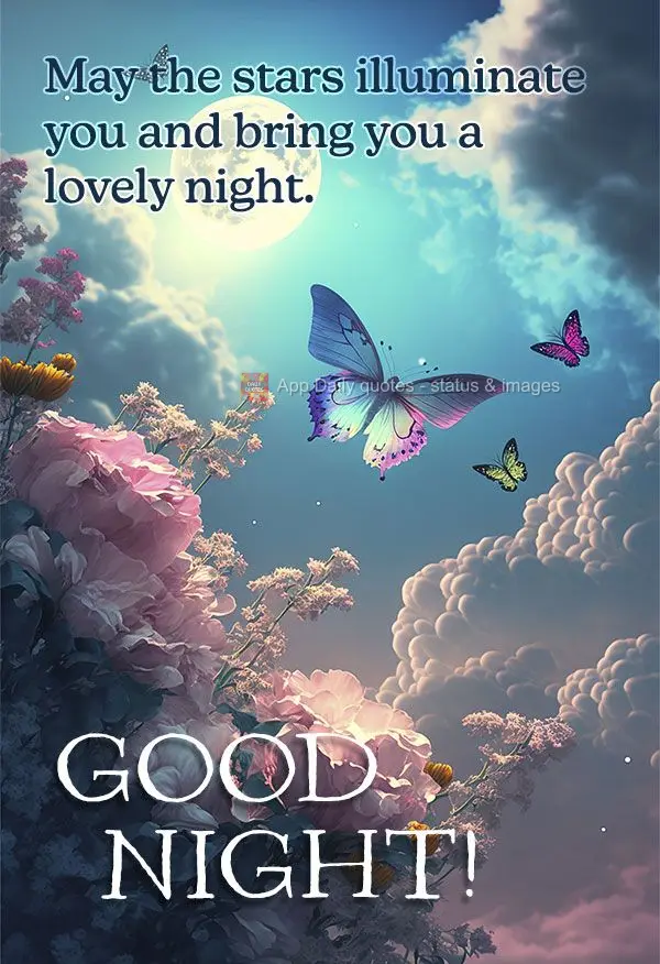 Que as estrelas lhe iluminem e lhe traga uma linda noite. Boa noite!