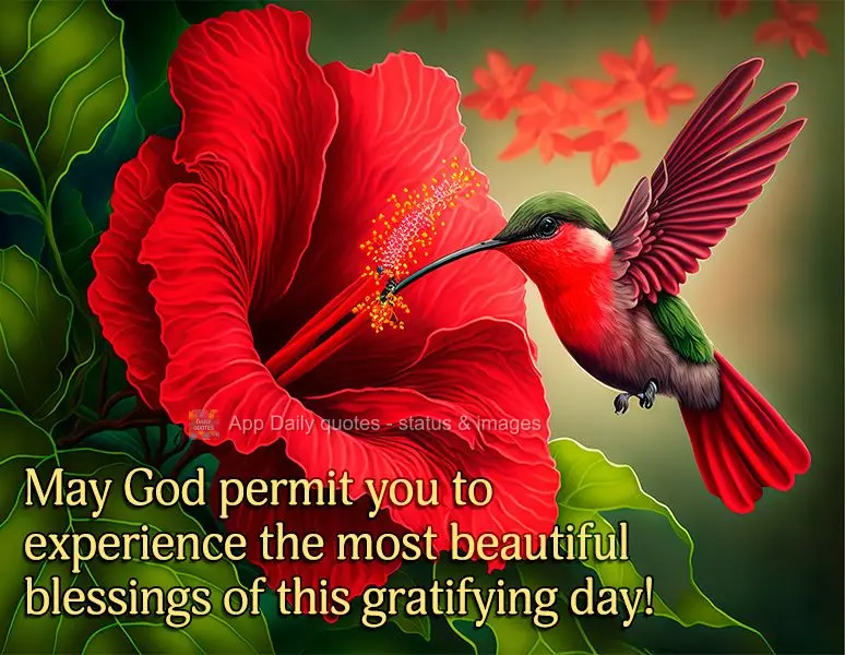 May God permit you to experience the most beautiful blessings on this gratifying day!