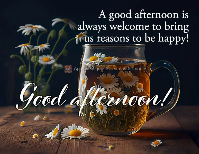 Uma boa tarde é sempre bem-vinda para nos trazer motivos para se sentir feliz! Boa tarde!