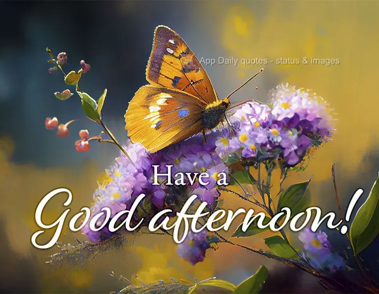 Tenha uma Feliz tarde! 