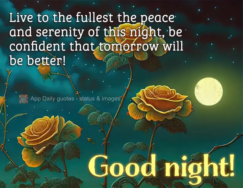 Viva com intensidade a paz e a serenidade desta noite, se mantenha confiante de um amanhã melhor! Boa noite!