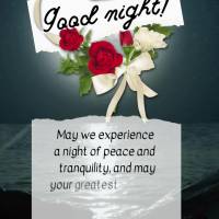 Que você possa viver uma noite de paz e tranquilidade, e que seu grande sonho seja alimento com fé esperança e motivação para que amanhã você pers...