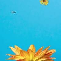 Seja inteiramente luz, dedique-se em ter mais amor próprio, vire a página do livro e comece uma nova história, onde você tem o direito de ter um fina...