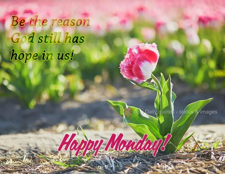Seja a razão pela qual Deus ainda tem esperança em nós! Feliz Segunda-feira!
