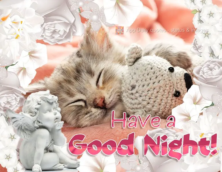 Tenha uma Feliz noite!