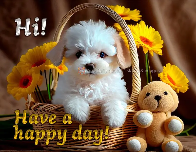 Hi! Have a happy day!