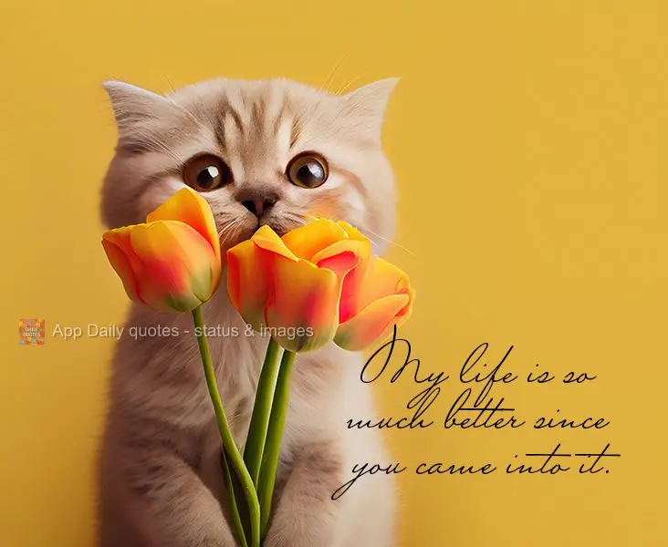 Minha vida é tão melhor desde que você entrou nela.