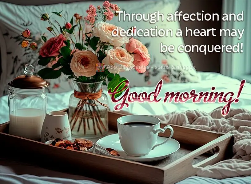 Com carinho e dedicação se conquista um coração! Bom dia!