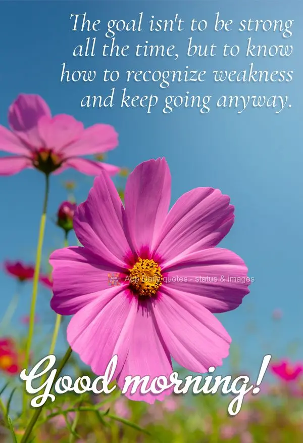 O objetivo não é ser forte o tempo todo, mas saber reconhecer a fraqueza e seguir em frente mesmo assim. Bom dia!
