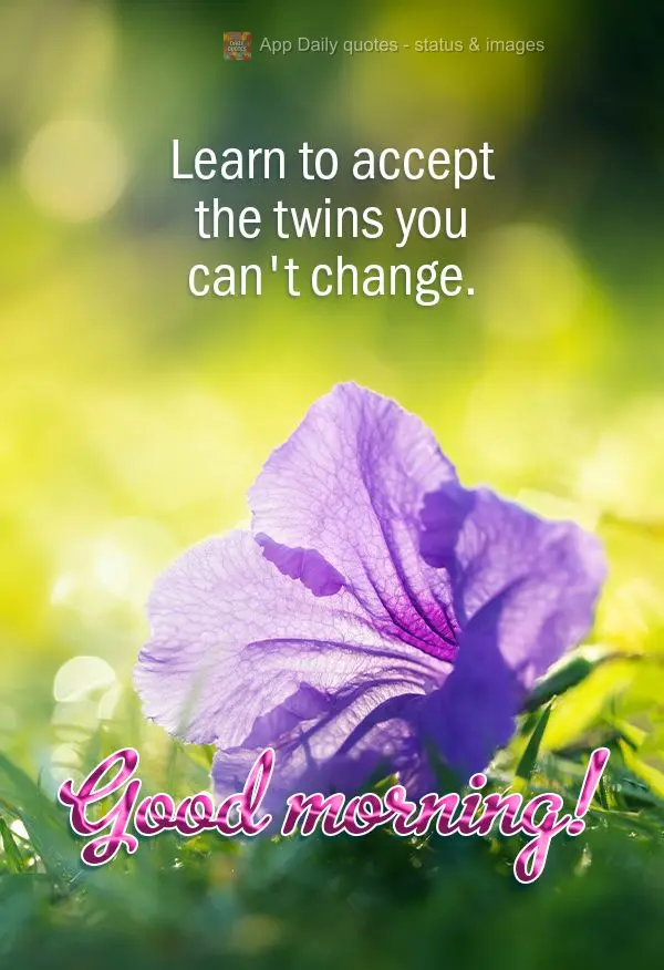 Aprenda a aceitar as coisas que você não pode mudar. Bom dia!