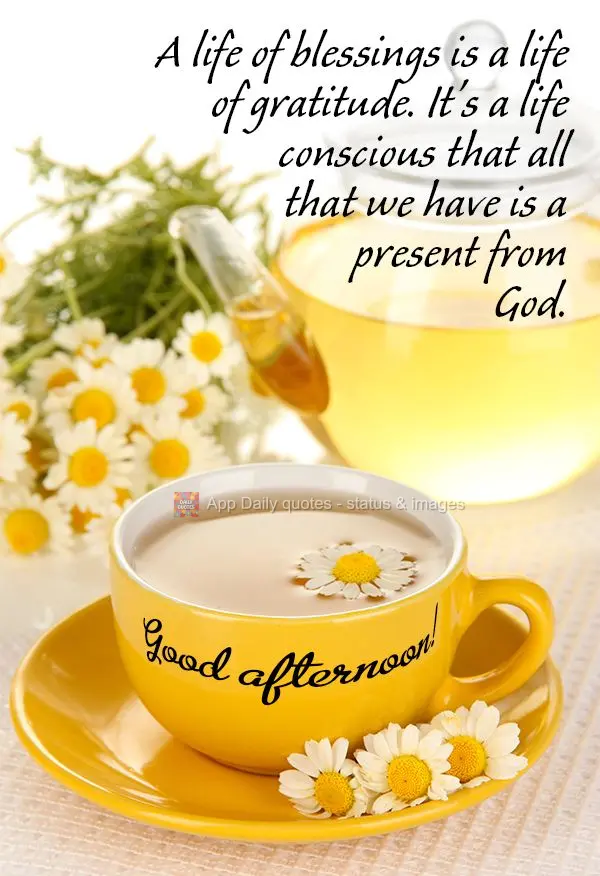 Uma vida de bênçãos é uma vida de gratidão. É uma vida de consciência de que tudo o que temos é um presente de Deus. Boa tarde!