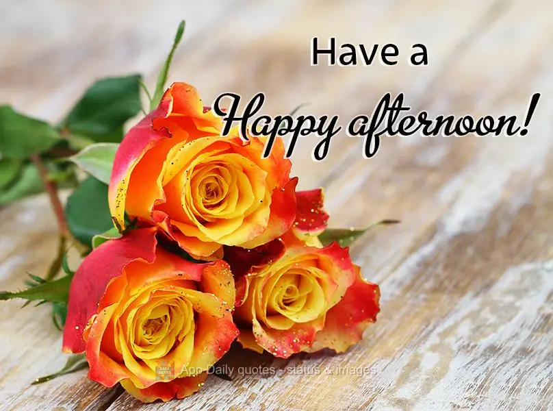 Tenha uma Feliz tarde! 