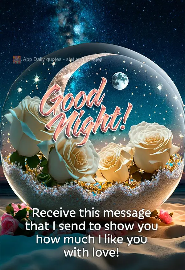 Com carinho receba esta mensagem que lhe envio para demonstrar o quanto gosto de você! Boa noite! 