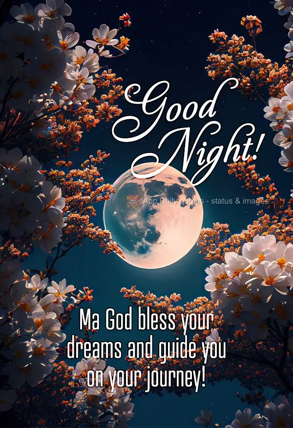 Que Deus abençoe os seus sonhos e te oriente na sua caminhada! Boa noite!