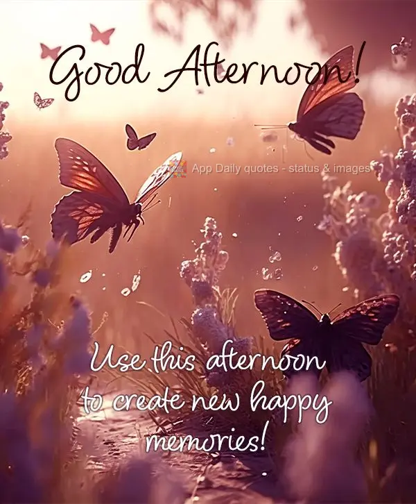 Aproveite esta tarde para criar novos momentos felizes! Boa tarde! 