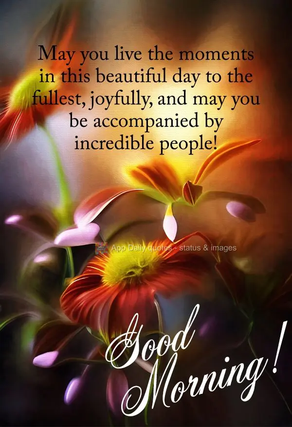 Que neste lindo dia você possa viver intensamente momentos alegres e estar acompanhado de pessoas incríveis! Bom dia!