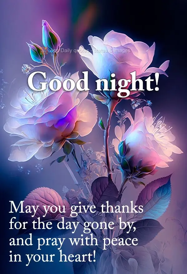 Que você possa agradecer pelo dia que passou e orar com paz no coração! Boa noite!