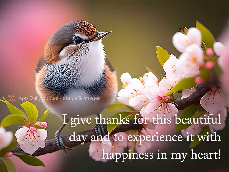 I give thanks for this beautiful day and to experience it with happiness in my heart!