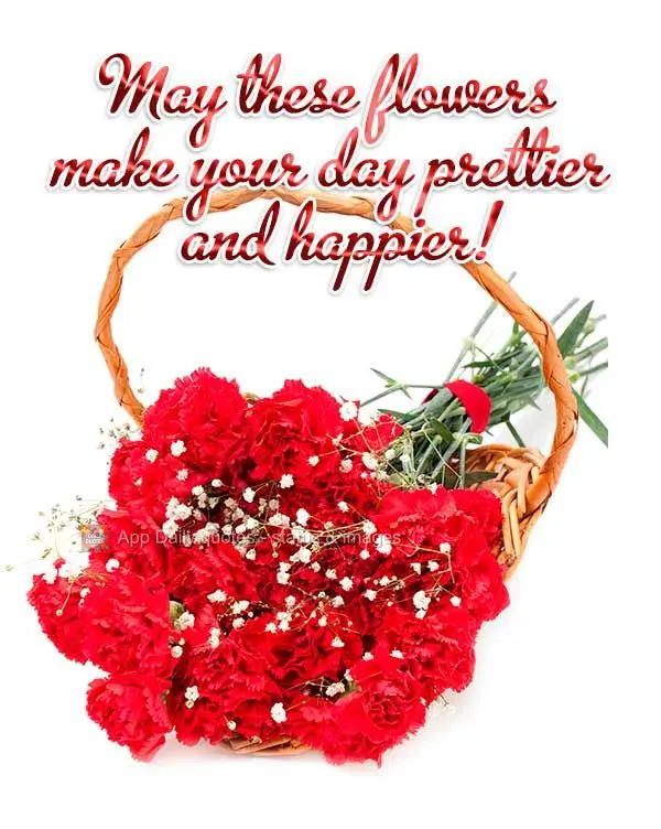 Que estas flores possam fazer do seu dia mais lindo e feliz!