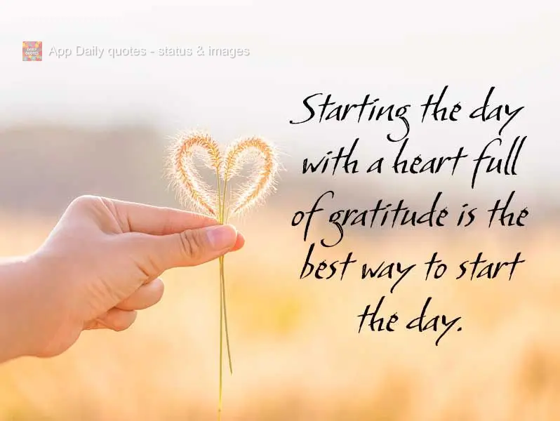 Começar o dia com o coração cheio de gratidão é o melhor jeito de começar o dia.