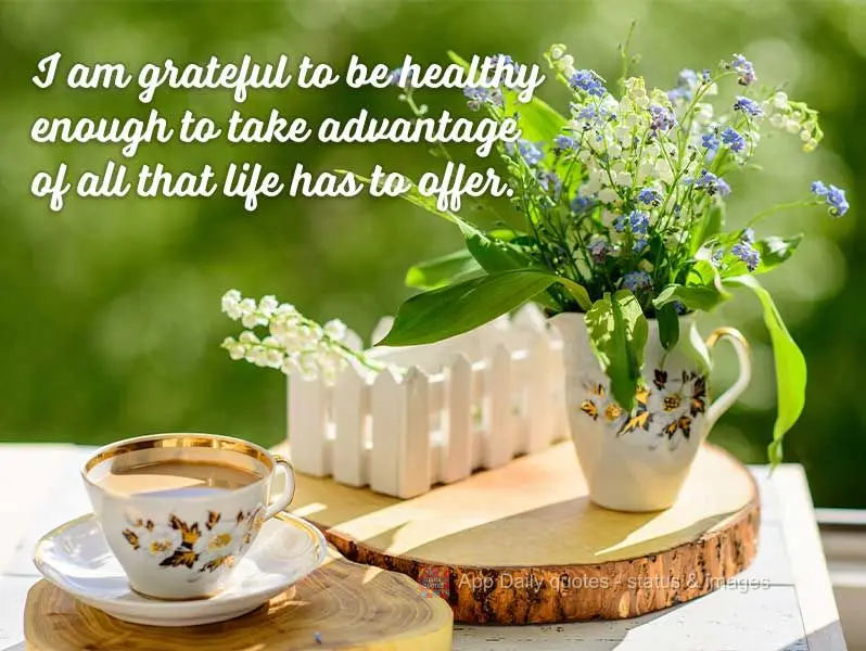Sou grata por ter saúde para desfrutar de tudo o que a vida tem para oferecer.