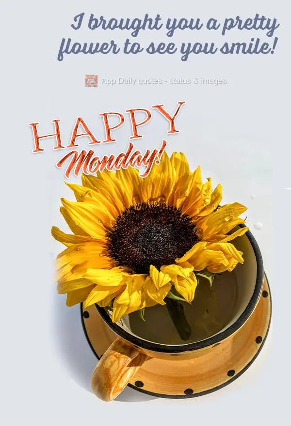 I brought you a pretty flower to see you smile! Happy Monday!