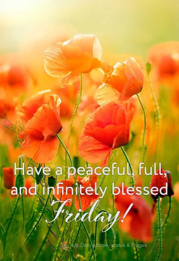 Have a peaceful, full, and infinitely blessed Friday!