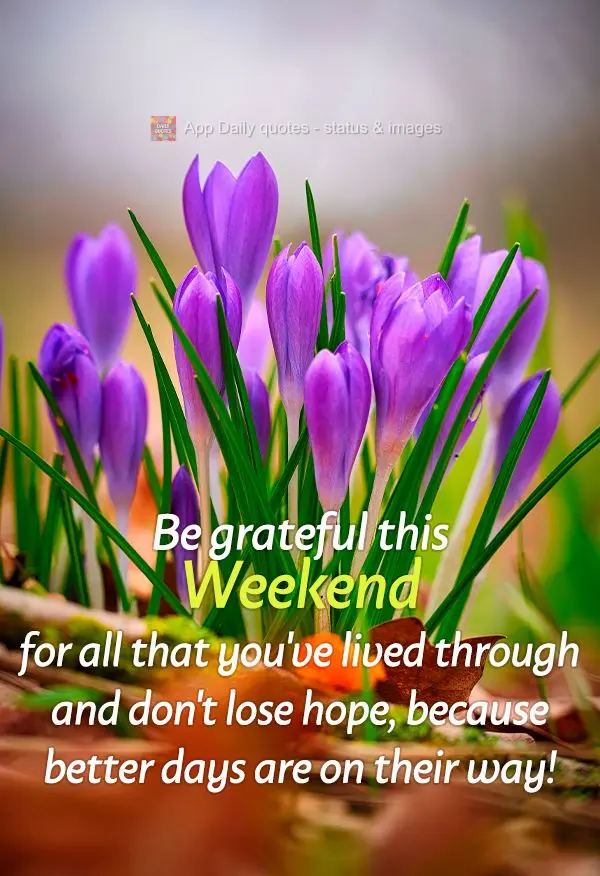 Be grateful this Weekend for all that you've lived through and don't lose hope, because better days are on their way!
