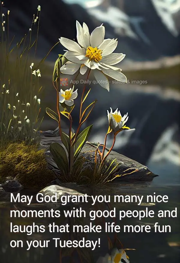 May God grant you many nice moments with good people and laughs that make life more fun on your Tuesday!