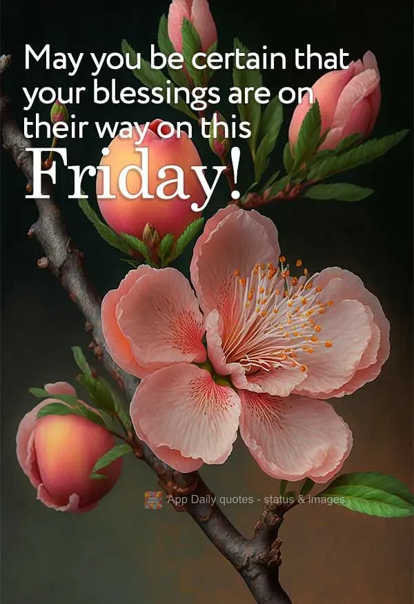 May you be certain that your blessings are on their way on this Friday!