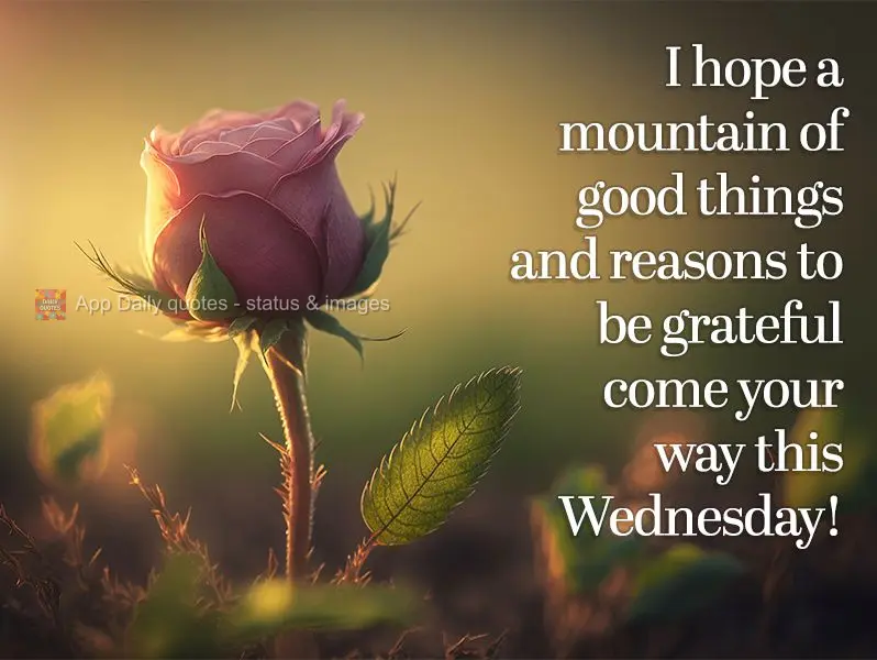 I hope a mountain of good things and reasons to be grateful come your way this Wednesday!
