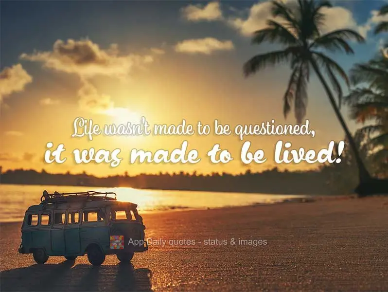 Life wasn't made to be questioned, it was made to be lived!