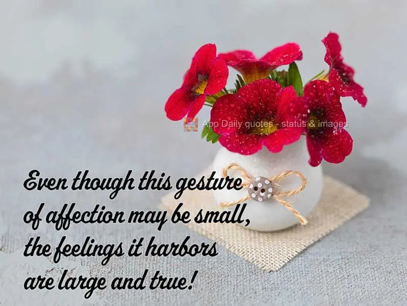 Por mais pequeno que seja esse gesto de carinho, os meus sentimentos são grandes e verdadeiros!