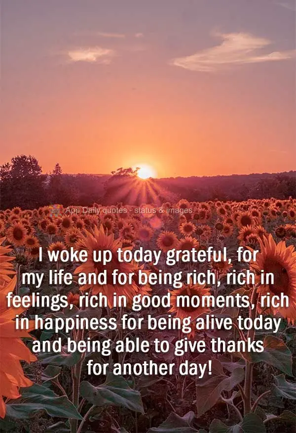 I woke up grateful today, for my life and for being rich, rich in feelings, rich in good moments, rich in happiness for being alive and able to give than...