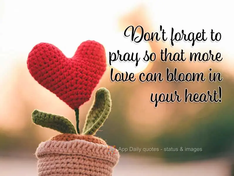 Don't forget to pray so that more love can blossom in your heart!