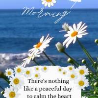 Nada que um bom dia de paz e tranquilidade para acalmar o coração e viver a vida de um jeito mais leve e de bem com a vida! Bom dia!